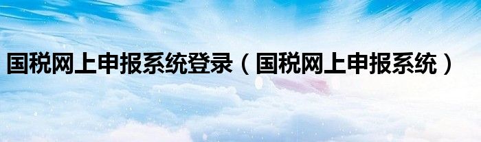 国税网上申报系统登录（国税网上申报系统）
