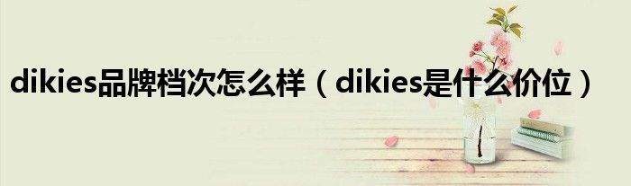dikies品牌档次怎么样（dikies是什么价位）