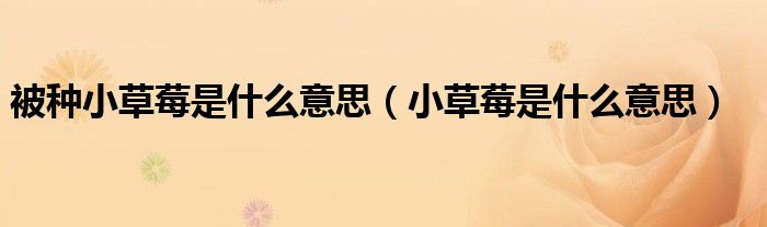 被种小草莓是什么意思（小草莓是什么意思）