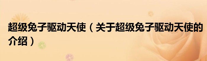 超级兔子驱动天使（关于超级兔子驱动天使的介绍）