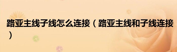 路亚主线子线怎么连接（路亚主线和子线连接）