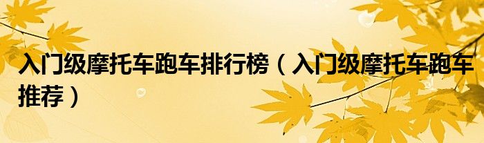 入门级摩托车跑车排行榜（入门级摩托车跑车推荐）