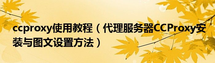 ccproxy使用教程（代理服务器CCProxy安装与图文设置方法）