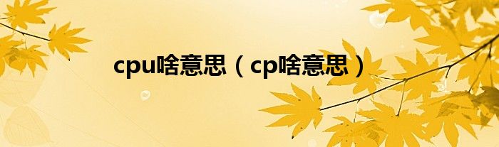 cpu啥意思（cp啥意思）