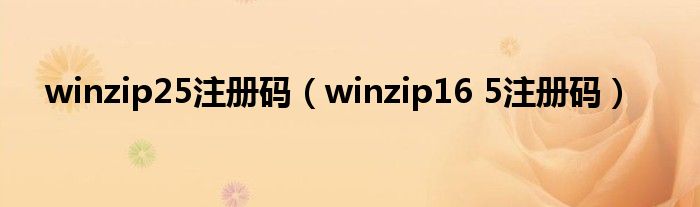 winzip25注册码（winzip16 5注册码）