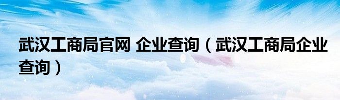 武汉工商局官网 企业查询（武汉工商局企业查询）