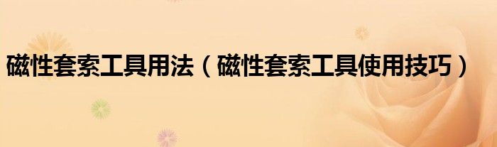磁性套索工具用法（磁性套索工具使用技巧）