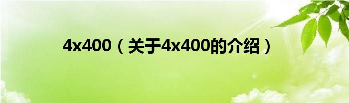 4x400（关于4x400的介绍）