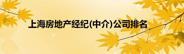 上海房地产经纪(中介)公司排名
