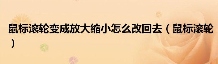 鼠标滚轮变成放大缩小怎么改回去（鼠标滚轮）