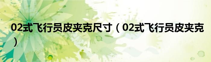 02式飞行员皮夹克尺寸（02式飞行员皮夹克）