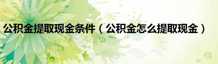 公积金提取现金条件（公积金怎么提取现金）