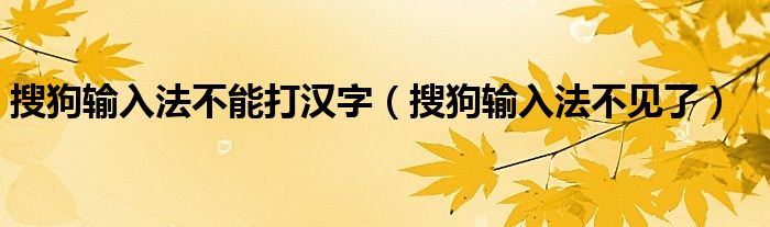 搜狗输入法不能打汉字（搜狗输入法不见了）