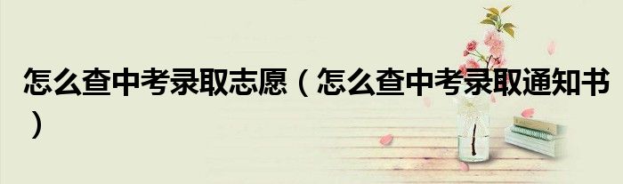 怎么查中考录取志愿（怎么查中考录取通知书）
