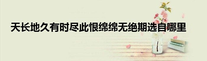 天长地久有时尽此恨绵绵无绝期选自哪里