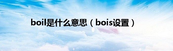 boil是什么意思（bois设置）