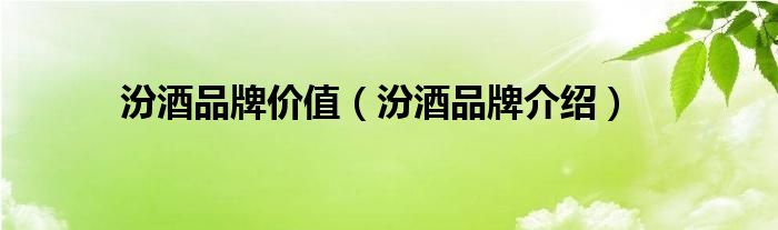 汾酒品牌价值（汾酒品牌介绍）