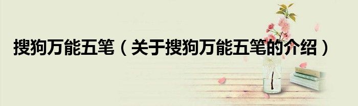 搜狗万能五笔（关于搜狗万能五笔的介绍）