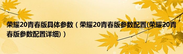 荣耀20青春版具体参数（荣耀20青春版参数配置(荣耀20青春版参数配置详细)）