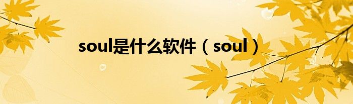 soul是什么软件（soul）