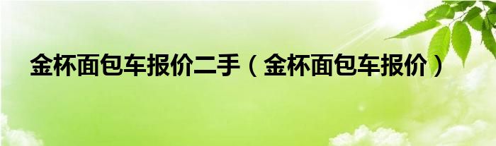 金杯面包车报价二手（金杯面包车报价）