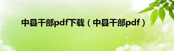 中县干部pdf下载（中县干部pdf）